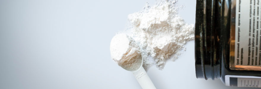 dosage de protéine
